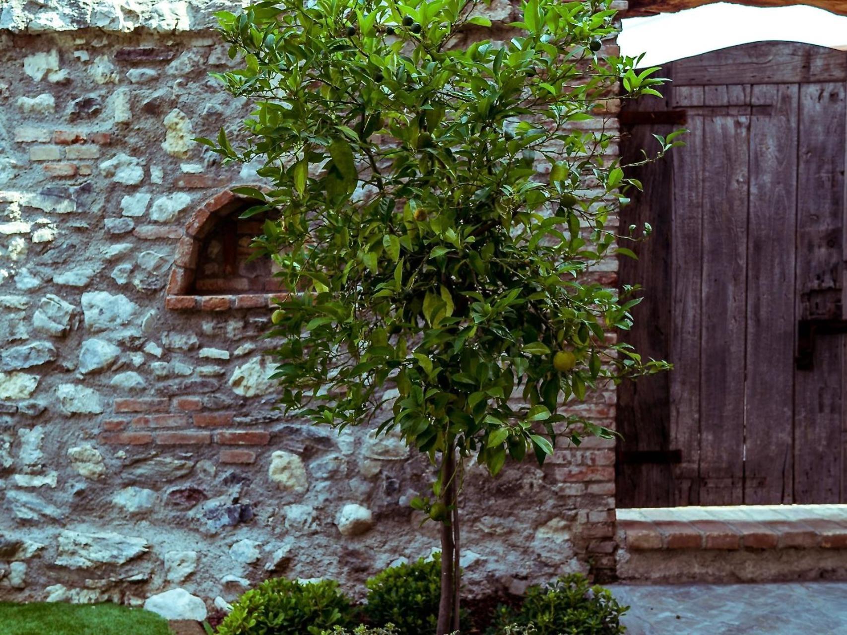 Villa Fontanelle Gardapartments Polpenazze del Garda Exterior foto